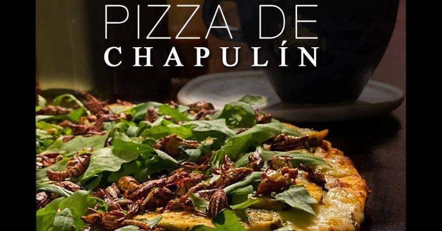 pizza de chapulines en México vs Pan con Abeja en Cuba