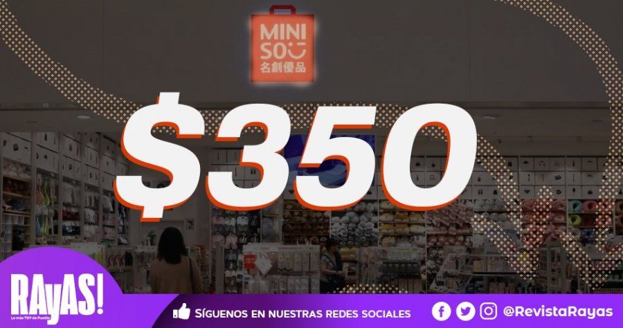 Fundas Para Laptop Miniso on Sale, UP TO 65% OFF | agrichembio.com