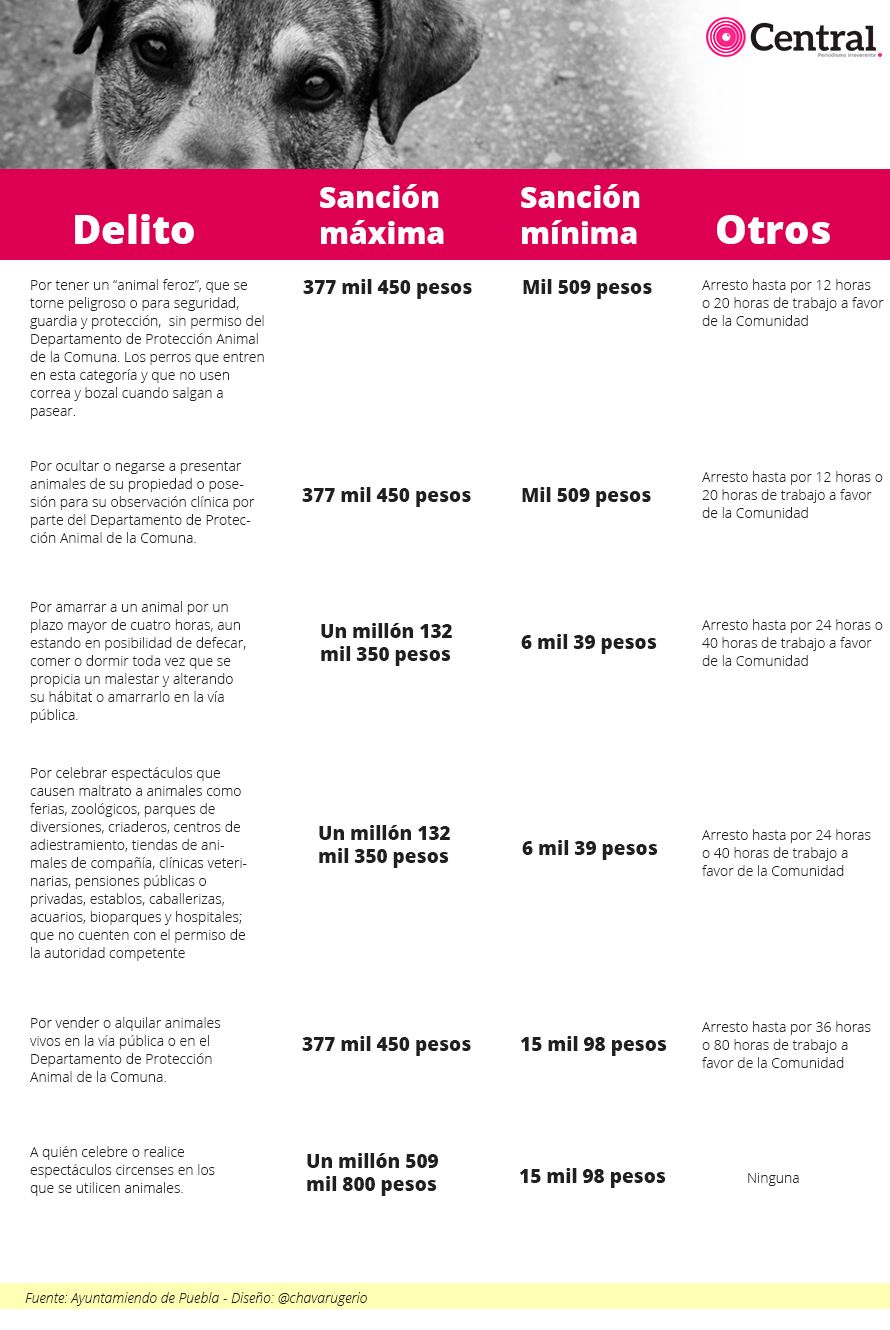 tabla delitosanimales