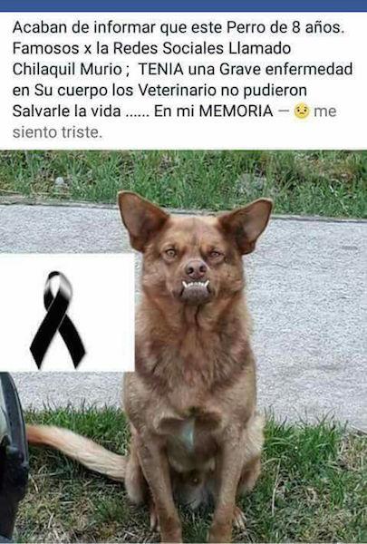 chila