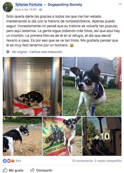 chihua