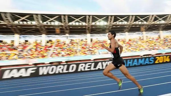 david torrence