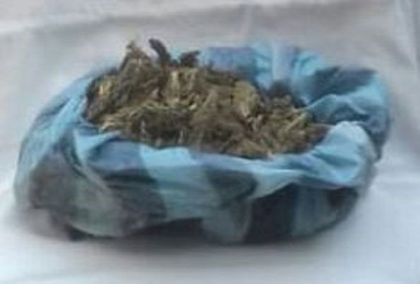 mariguana 595x403