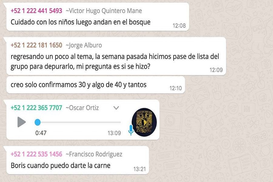 whatsappMataPerros