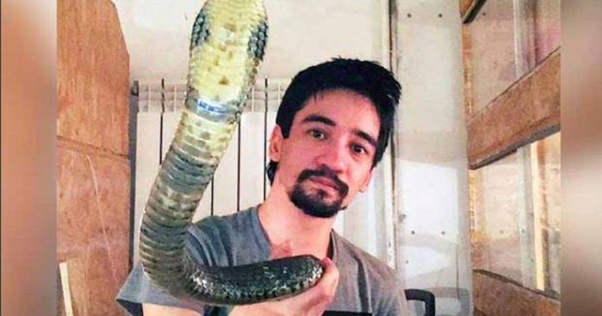 #MilManerasdeMorir Número 57: Encantador de serpientes se suicida dejándose morder por una mamba negra