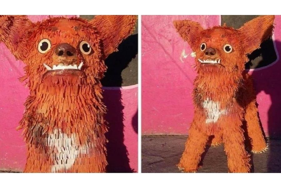 Chilaquil estrena pi&ntilde;ata y pronto ser&aacute; adoptado