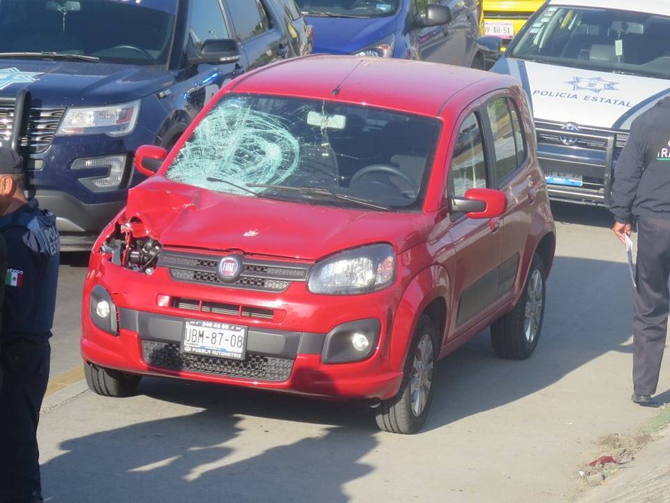54520235 2192208834426983 4475619766567960576 n