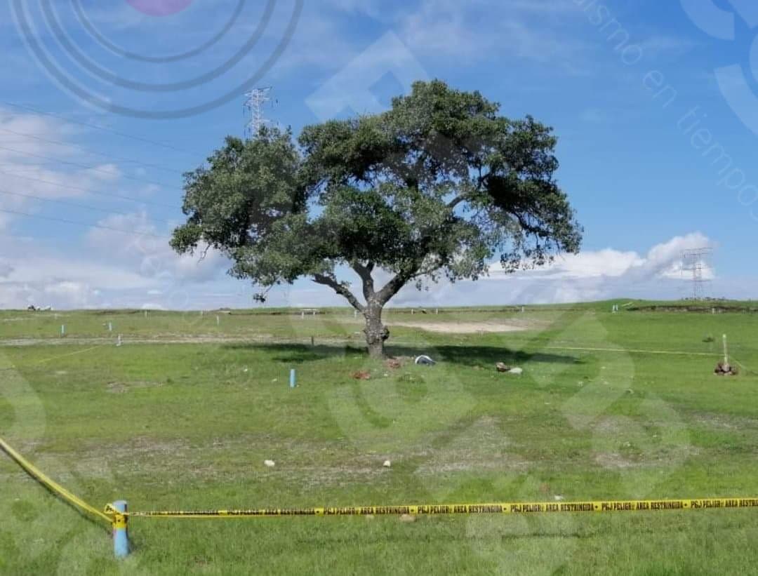 64573316 2428405077388620 1904194632812593152 n