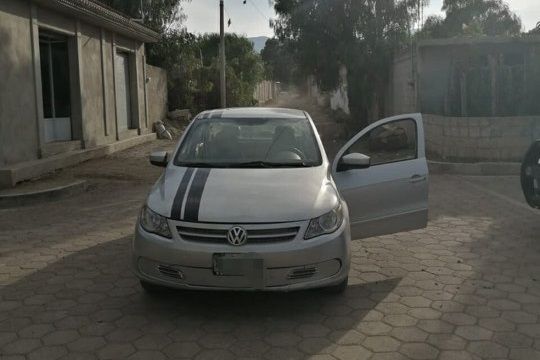 73370604