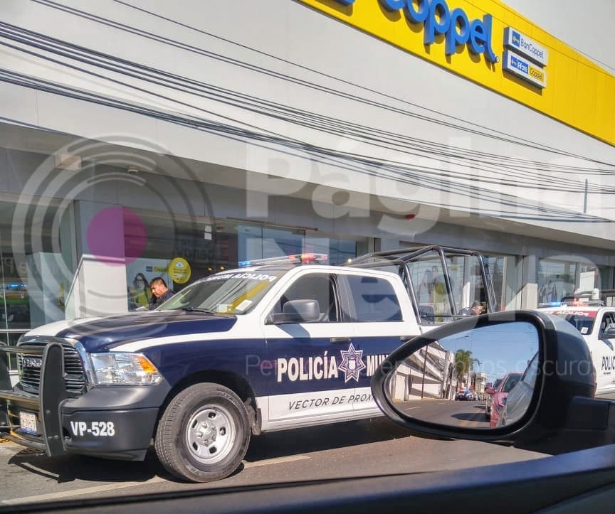 coppel 3