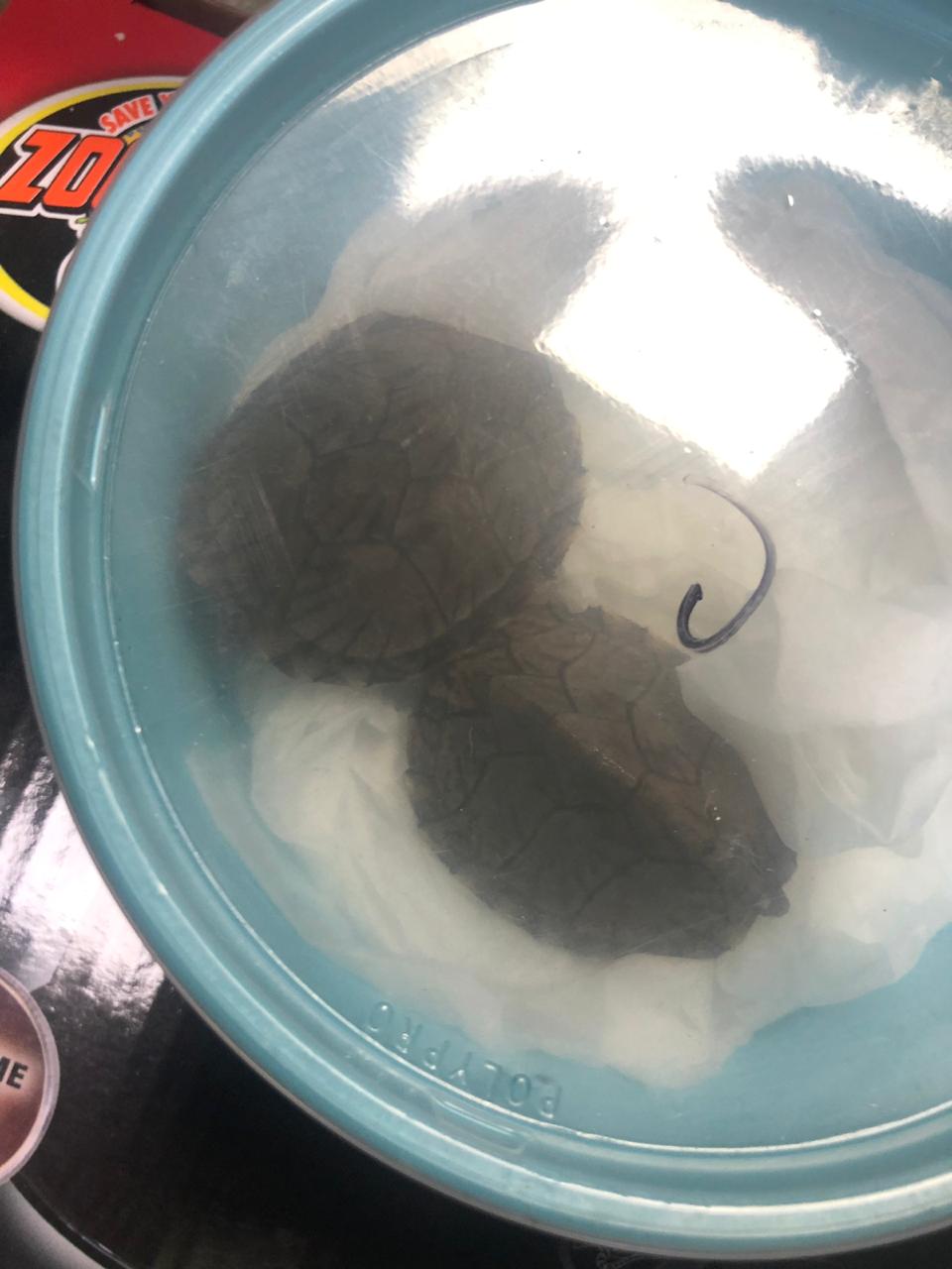 IMG 20190527 WA0087