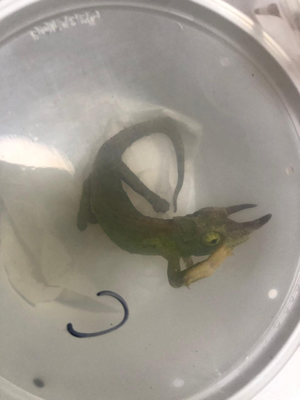IMG 20190527 WA0088