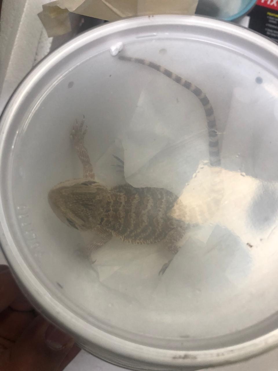 IMG 20190527 WA0089