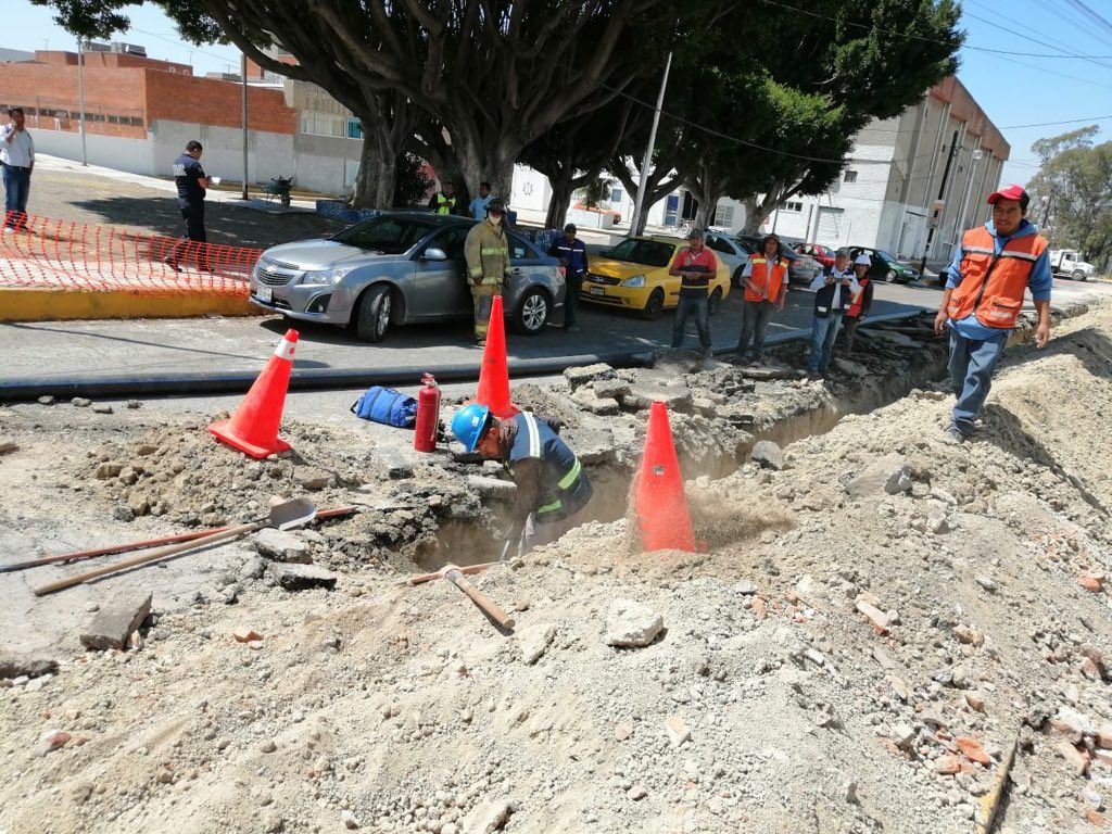 IMG 20190302 123252