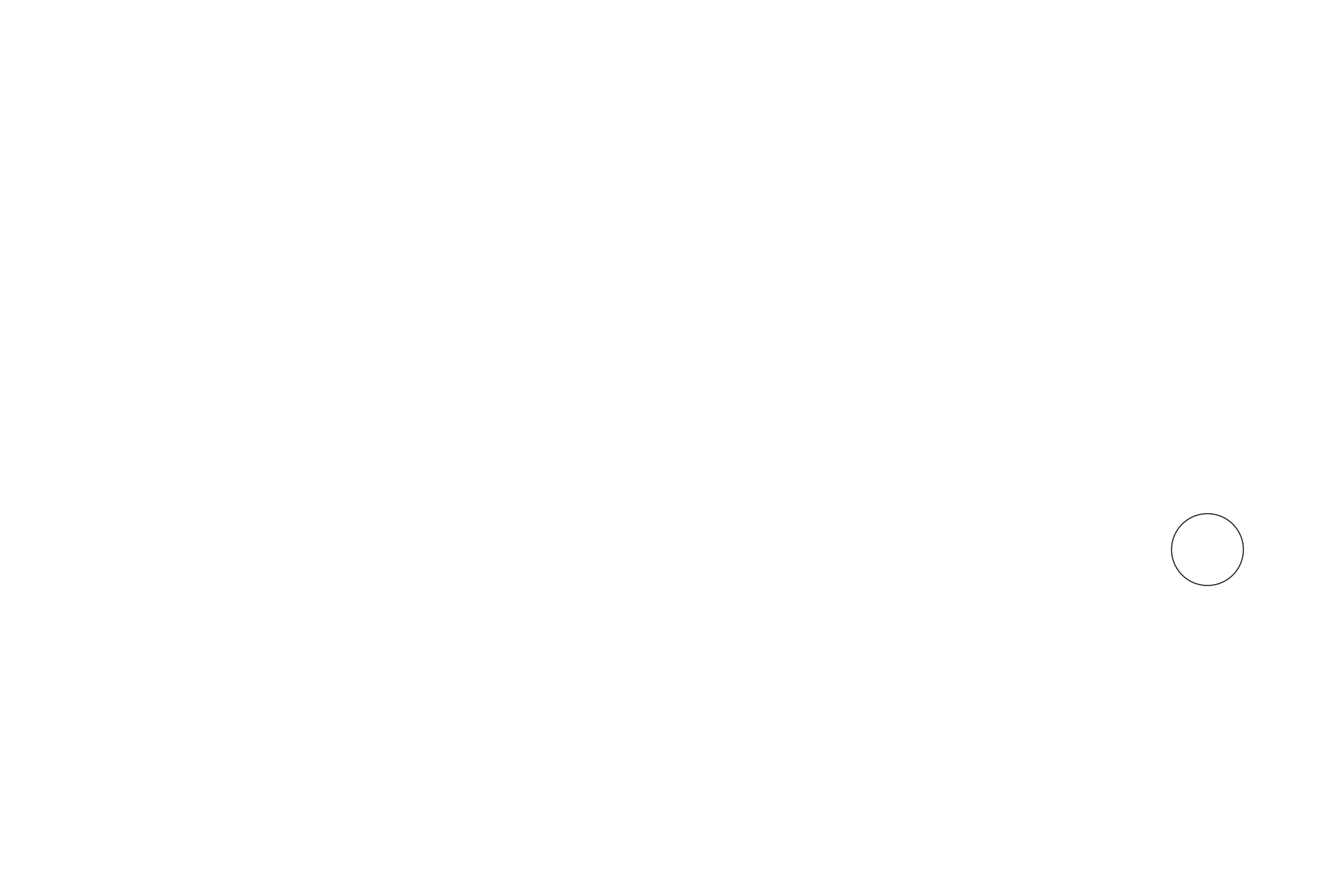 Periódico Central - Rayas 