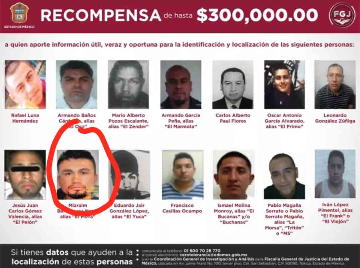 el mirra 2