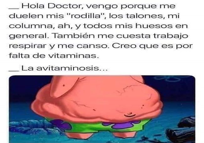 estupidez