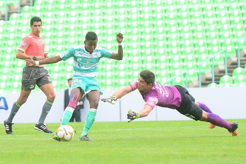 joao maleck