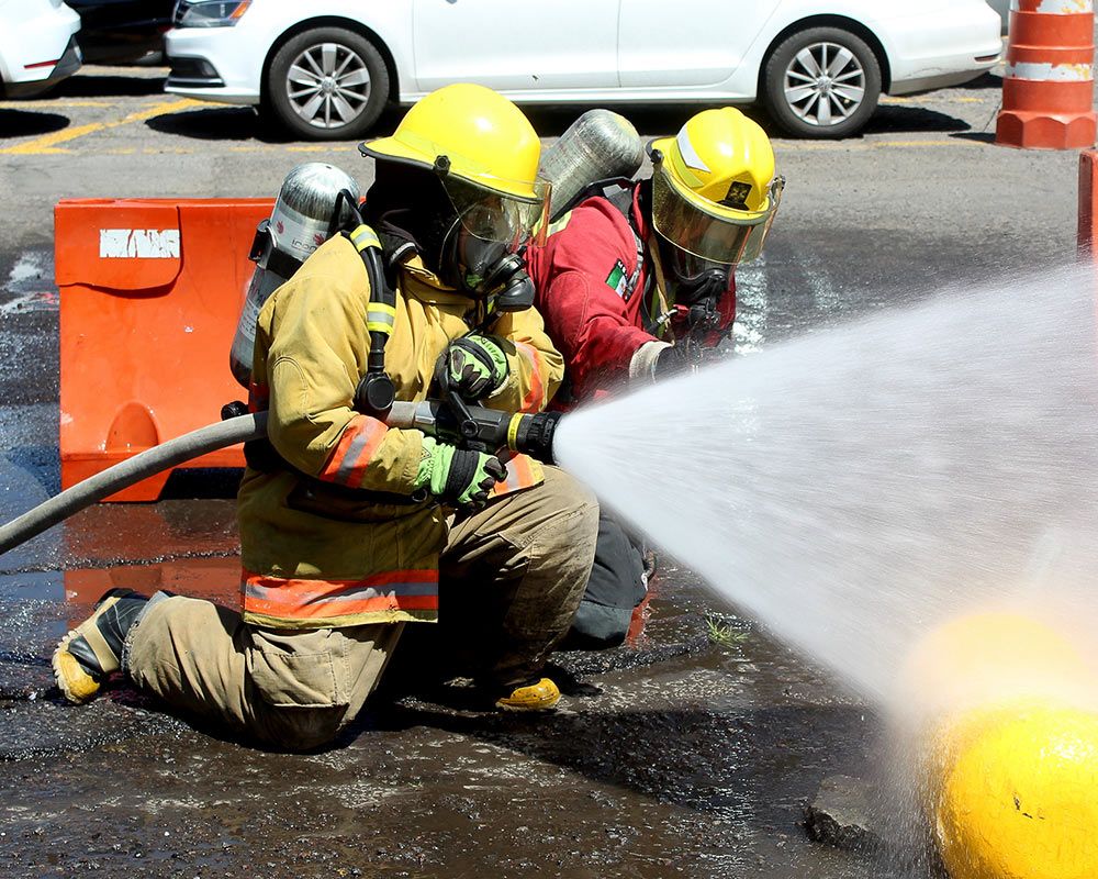 para3