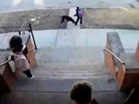 perro ataca nino video