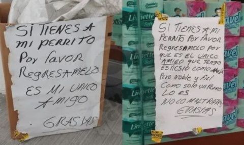 raul y solivino indigente perrito atropellado