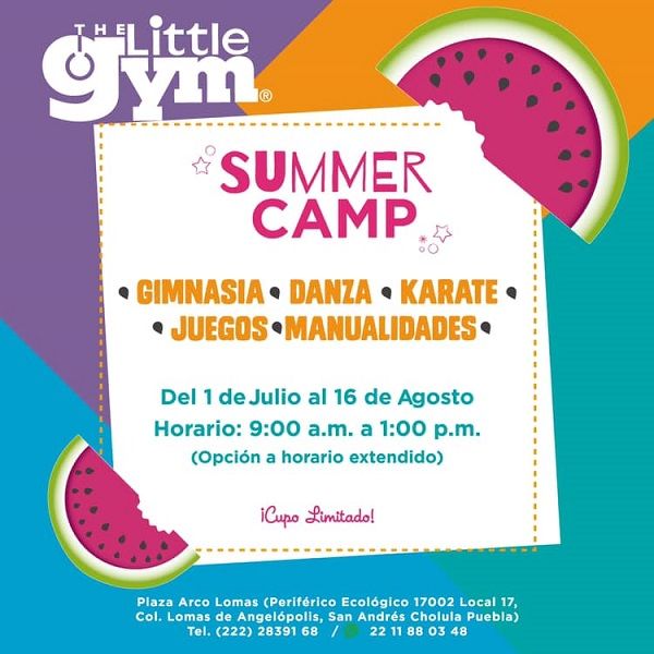 the little gym
