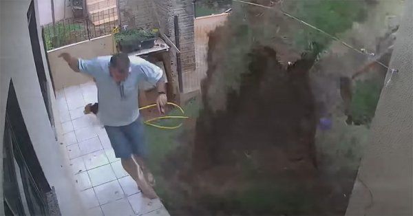 ¡WTF! Hombre explota su jardín al intentar eliminar un nido de cucarachas