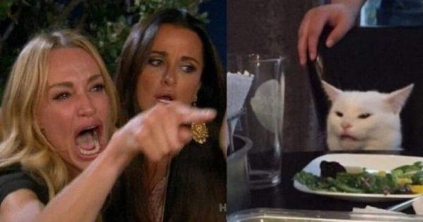 &iexcl;Imperdibles! Estos son los mejores memes del gato que se han hecho virales en redes