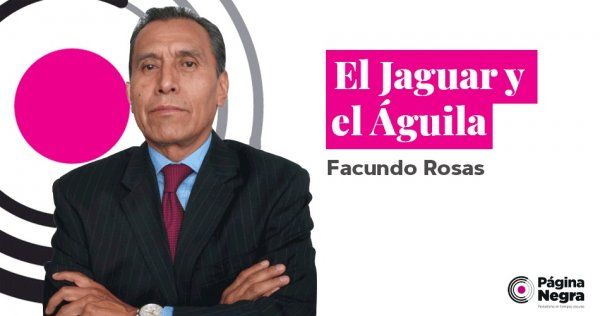 1000 patrullas nuevas &iquest;qu&eacute; significan?