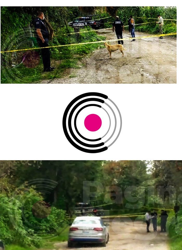 117771685 2437577163201914 4836519620996438854 n