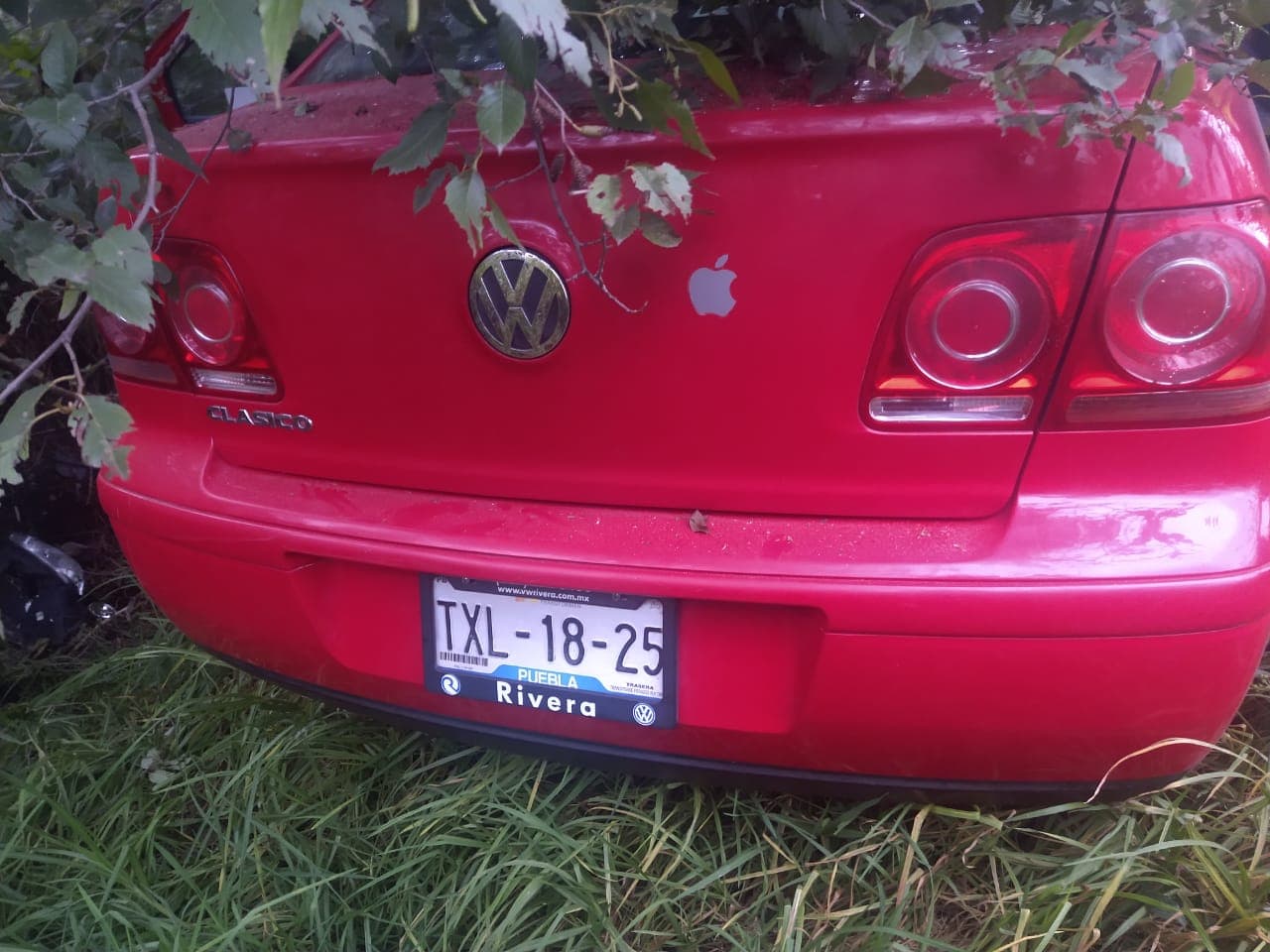 118888966 780200672801401 2812766572830422479 n