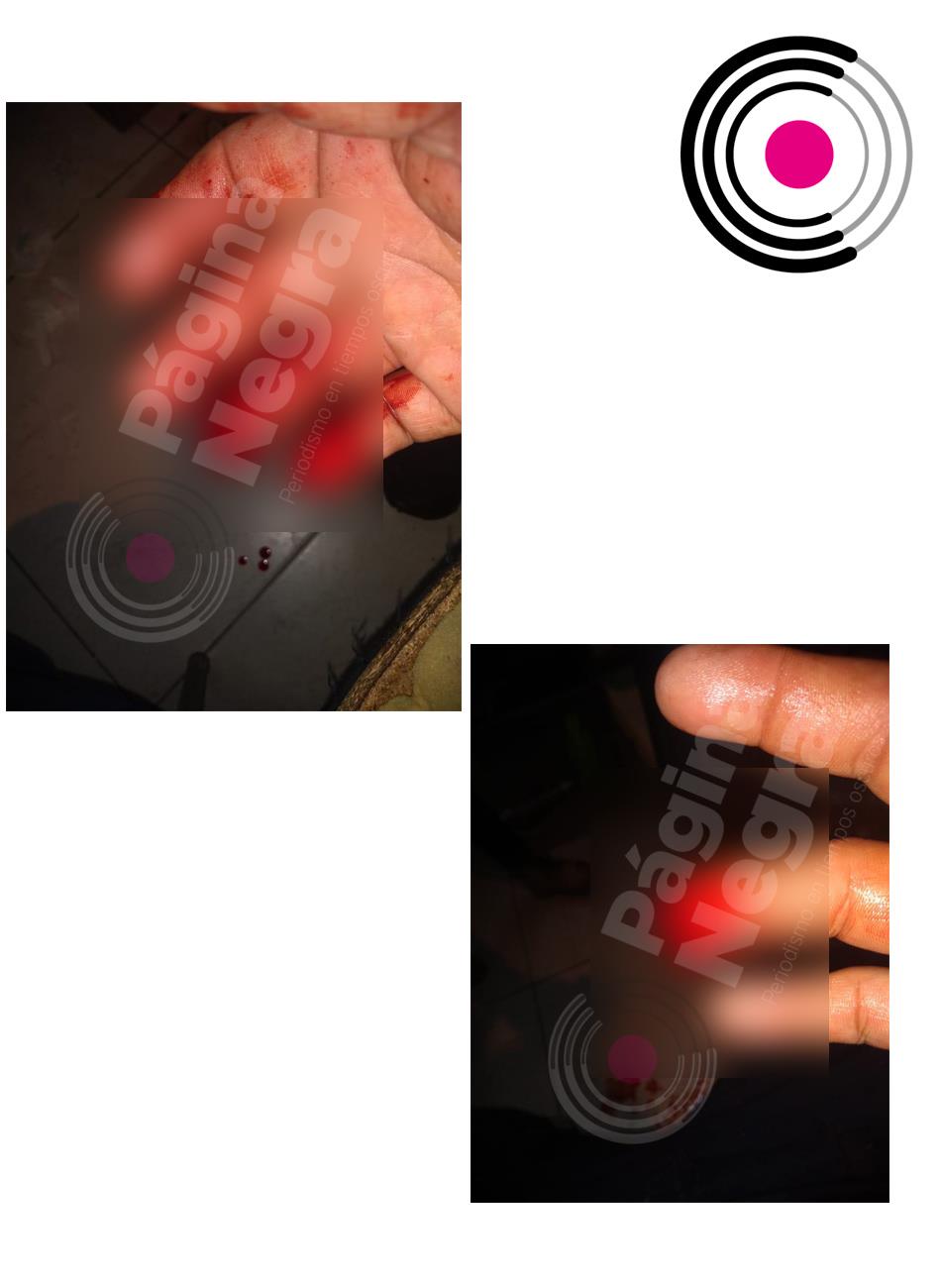 119659322 698488147421552 3317892566100362936 n