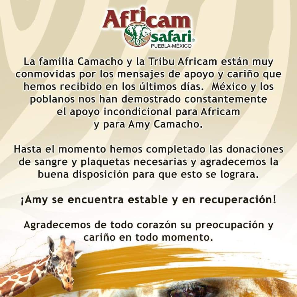 FB IMG 1592706057319