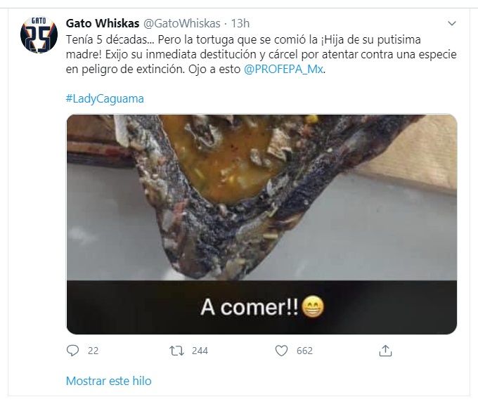 GatoWhiskas