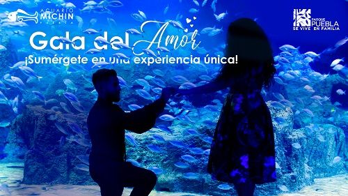 acuario michin