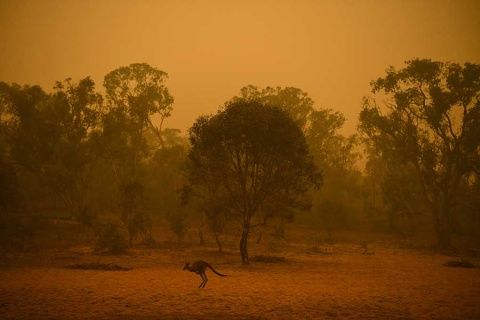 australia incendios canberra evacuacion2212020nota2
