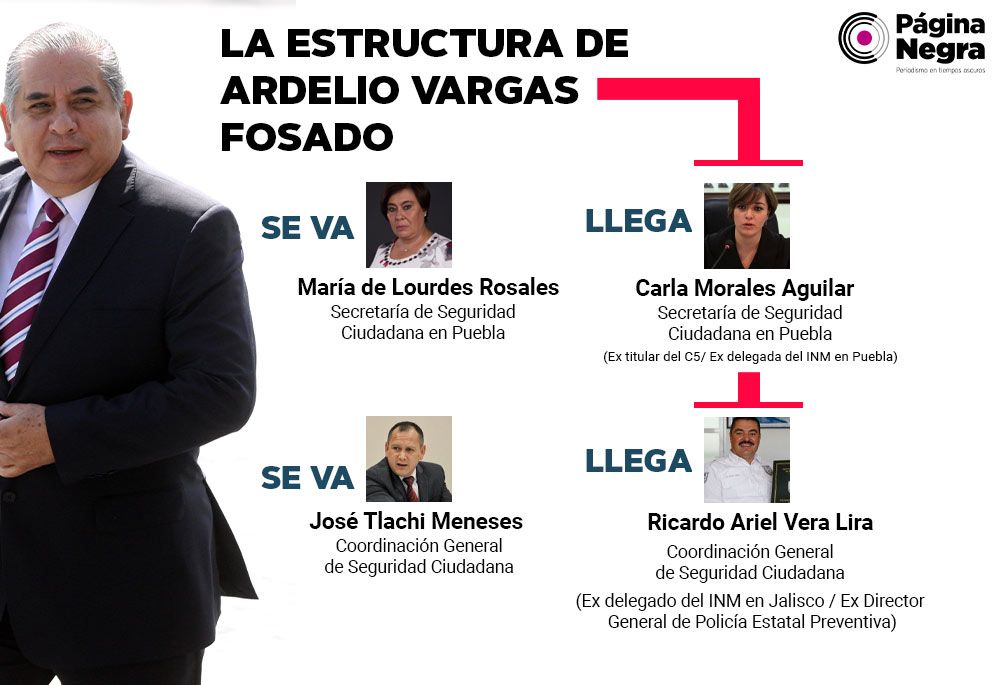 estruc ardelio