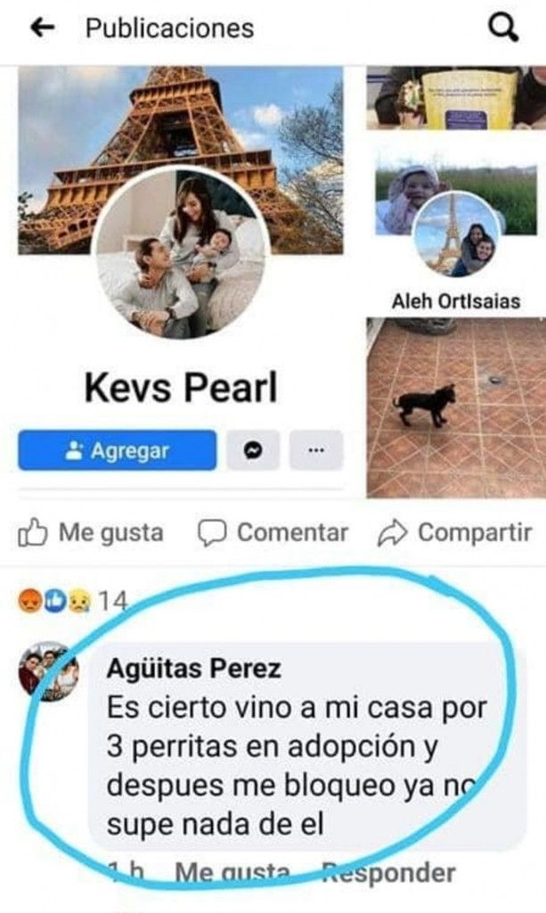 facebook tha pandu captura pantalla denuncia ciudadana 613x1024