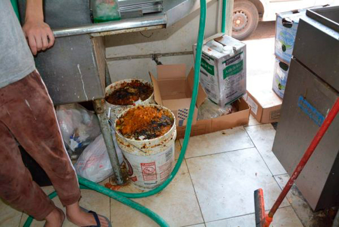hormigas excrementos