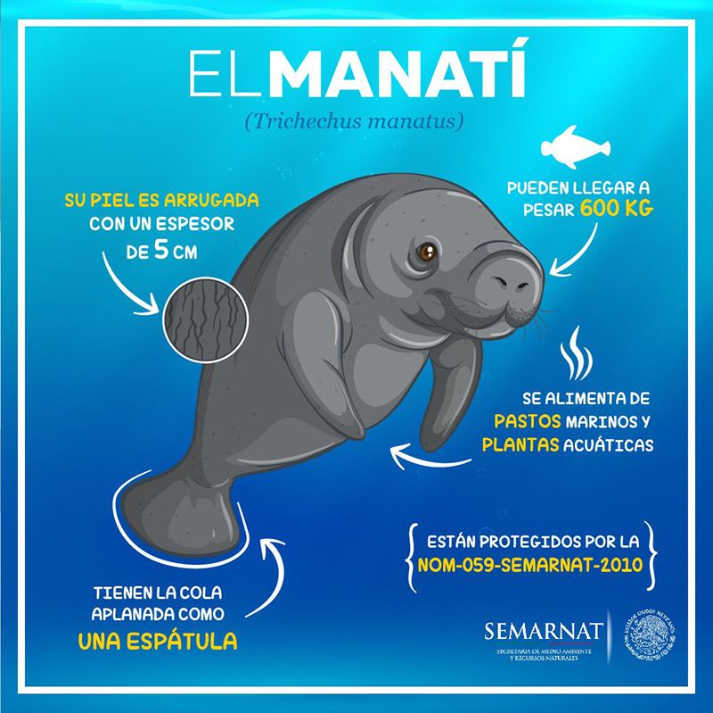 manati seguridad semarnat tabasco 1