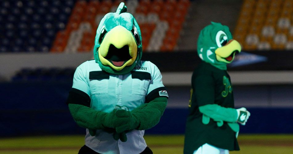 pericos 1