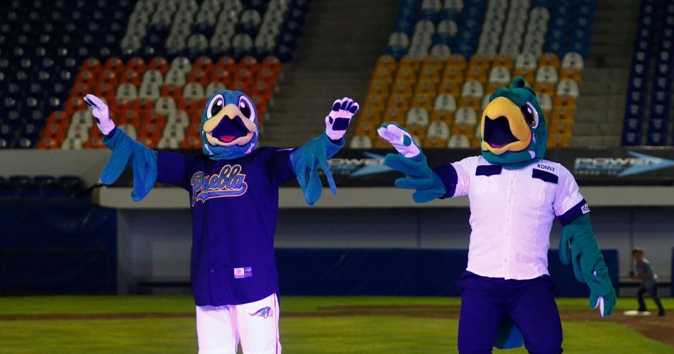 pericos 1