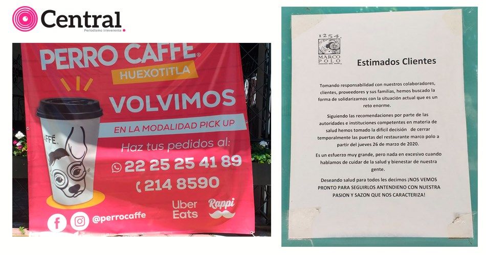 perro116796495 593688804649836 7040801290075170343 n