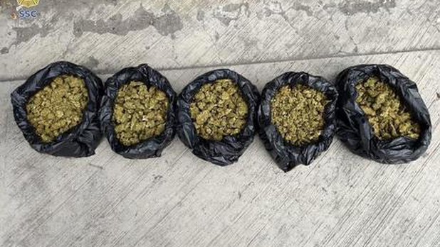 presuntos integrantes llevaban envoltorios marihuana thumb 589 348