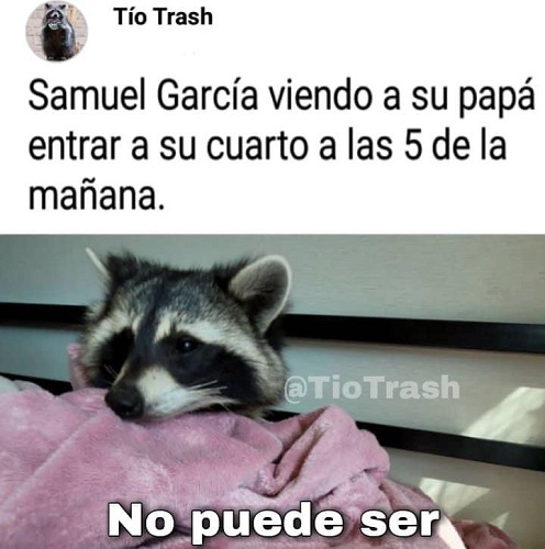 samuelmm8