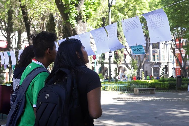 tendedero pro aborto 413015