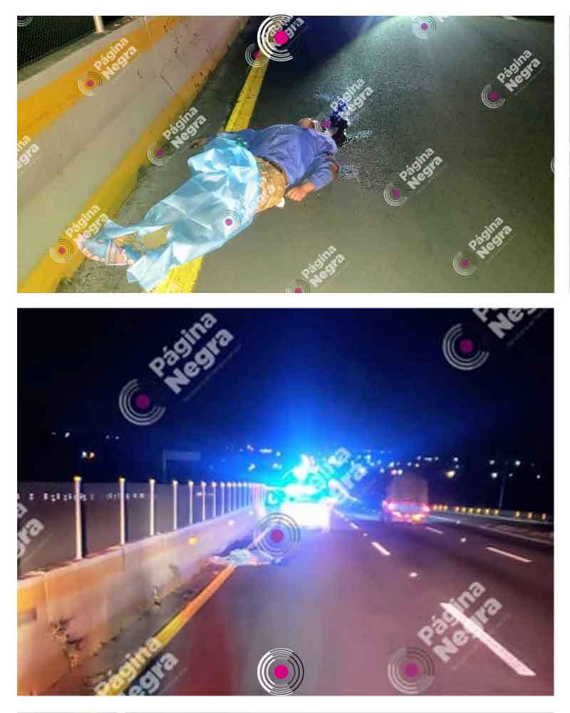 1-atropellado.jpg
