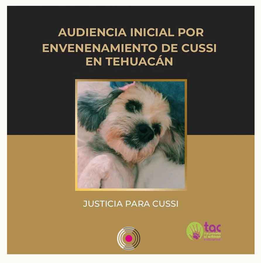 1 audiencia cussi tehuac n