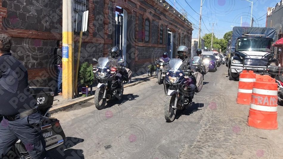 159966107 1181354515629935 8572219233211982780 n