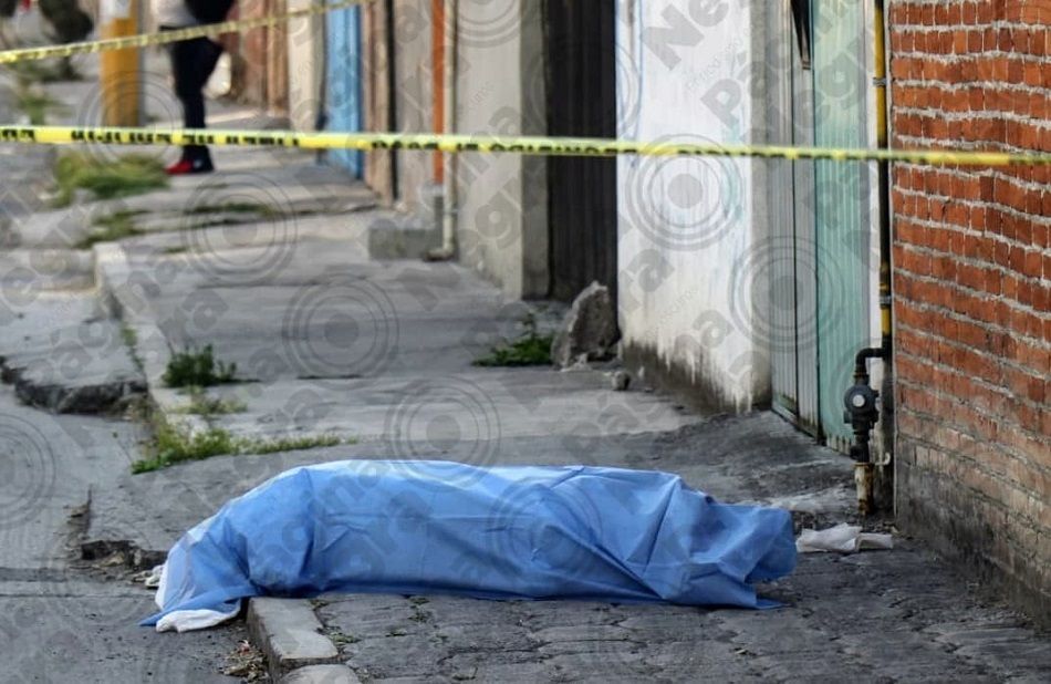 169138206 798394700794903 8057049959144011658 n